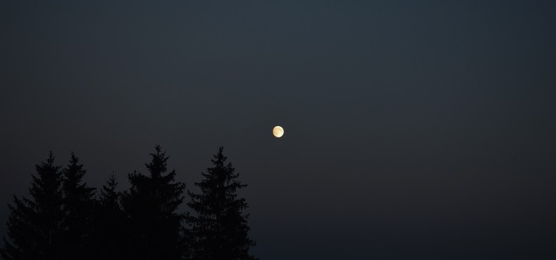 Moon, moonlight, sunset, sky