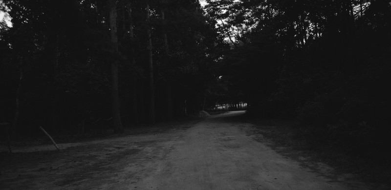 road, hills, forest, rock, photography, dark, dirt road
