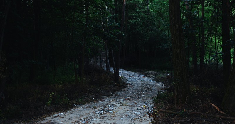 road, hills, forest, rock, photography