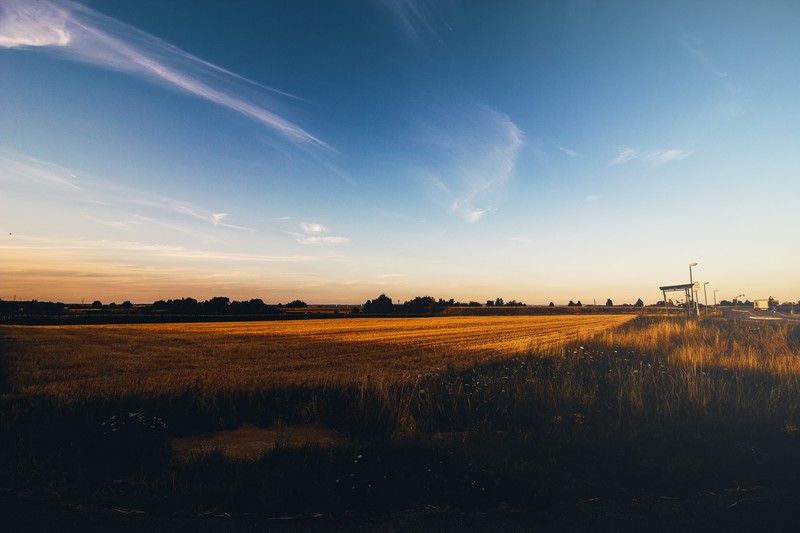 Sun, sunset, nature, field, landscape, clear sky, photography