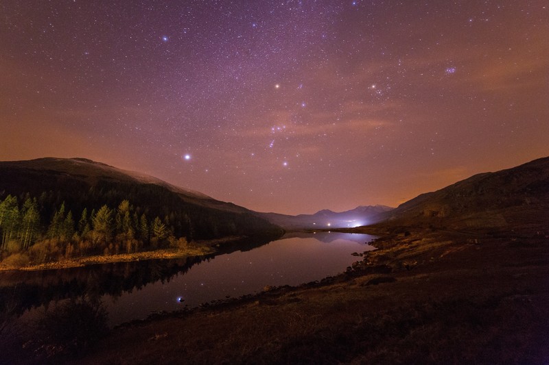river, stars, night, starry night, forest, trees, nature