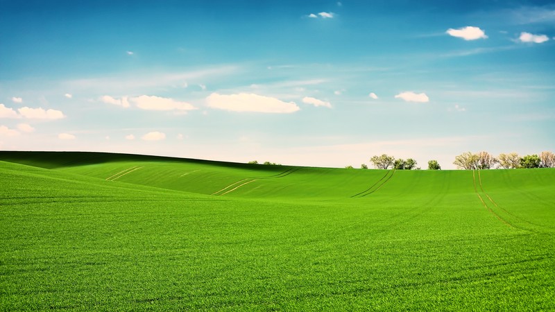 landscape, nature, clouds, field, sky
