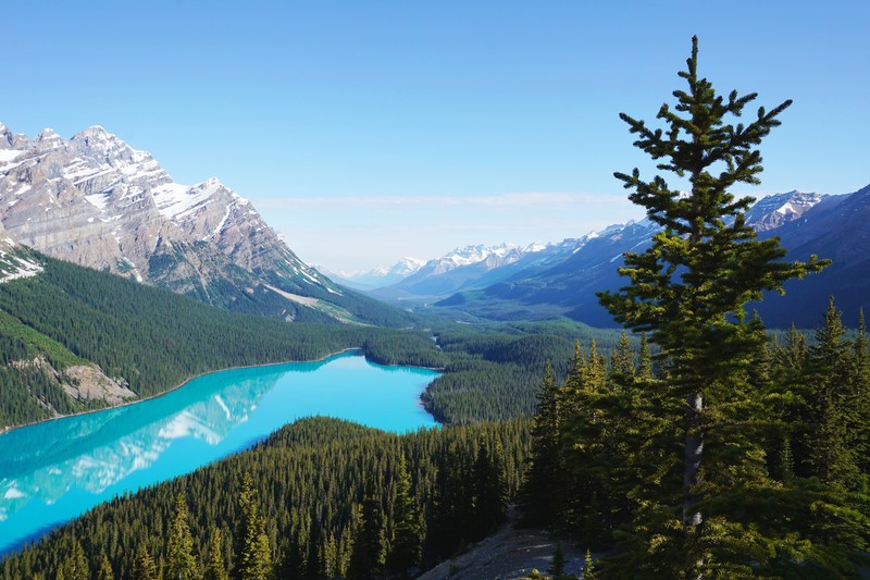nature, forest, lake, mountains, landscape