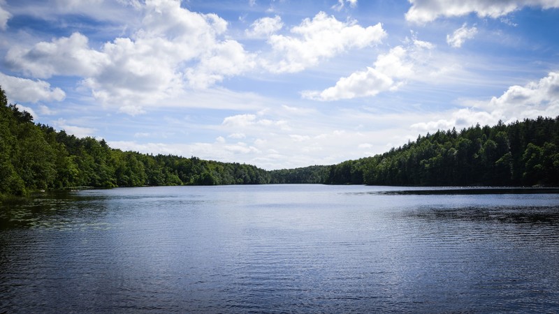 landscape, lake, water, forest