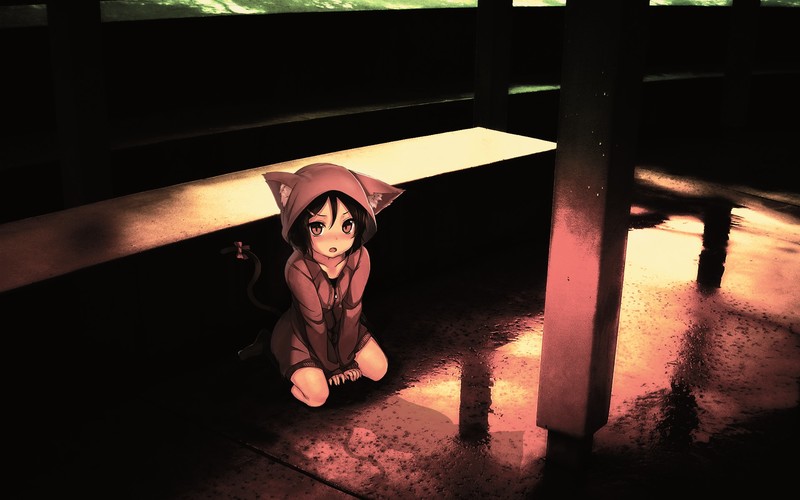 anime, anime girls, cat girl, nekomimi, photo manipulation