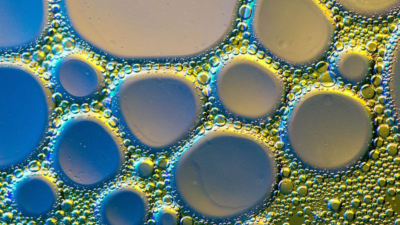 bubbles, liquid, oil, macro, 4k