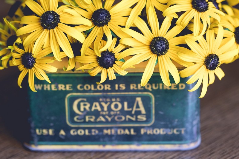 plants, boxes, yellow flowers, flowers