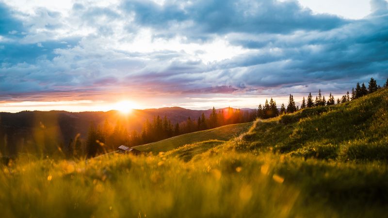 landscape, mountains, sun, meadow, trees, sunrise, sunlight, 4k