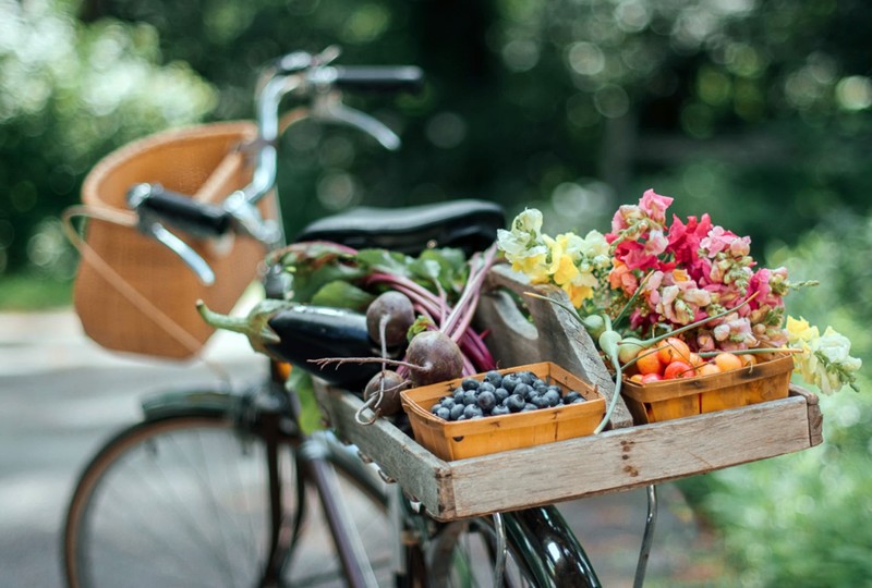 bicycle, bokeh, fruit, flowers, summer, food