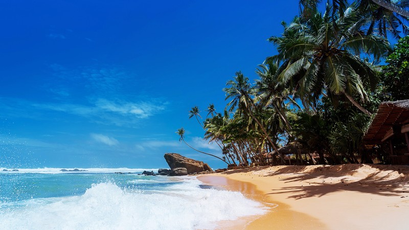 beach, sand, sea, clear sky, nature