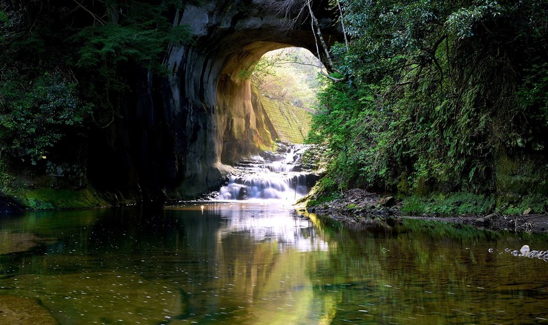 nature, water, plants, outdoors