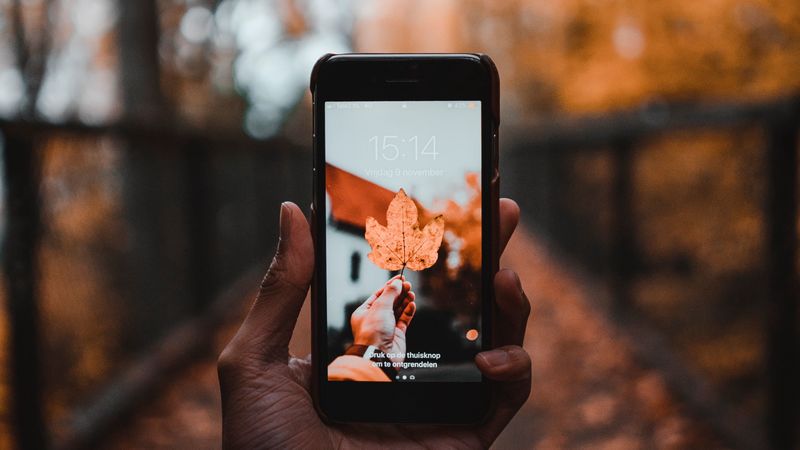phone, sheet, autumn, maple, hand, 4k