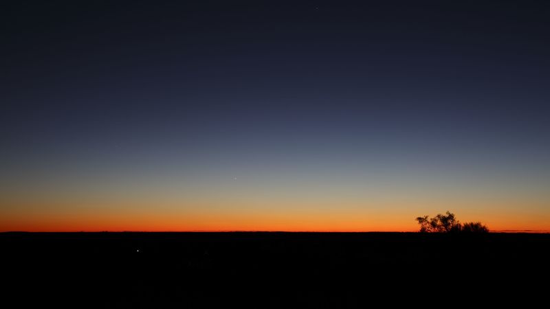twilight, dark, bushes, sky, horizon, gradient, 4k
