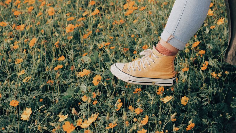 sneakers, flowers, walk, summer, 4k