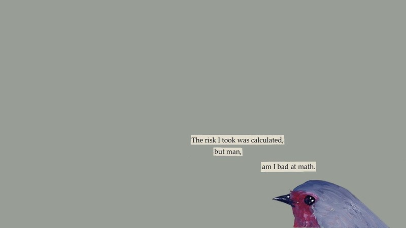 text, mathematics, birds, humor