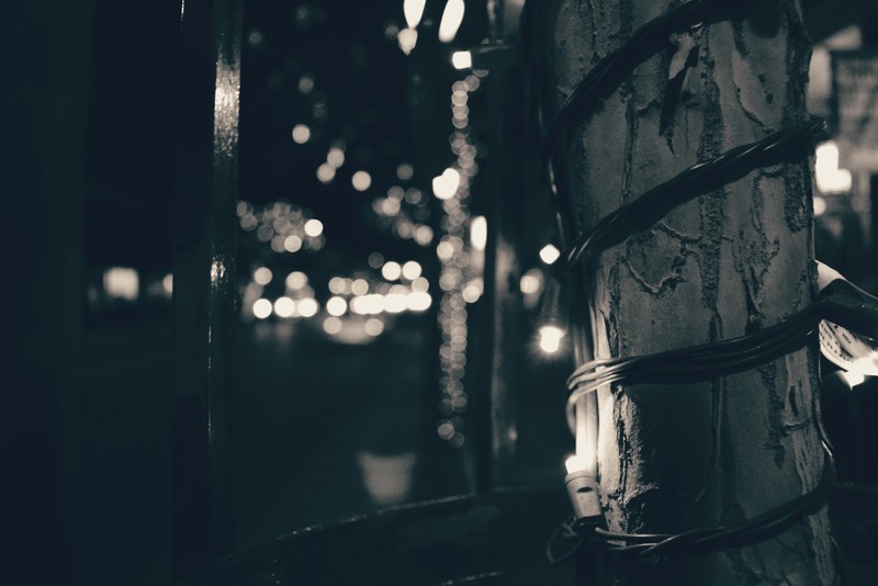 light bulb, monochrome, photography, street light, street, tree bark, Arizona, night, bokeh