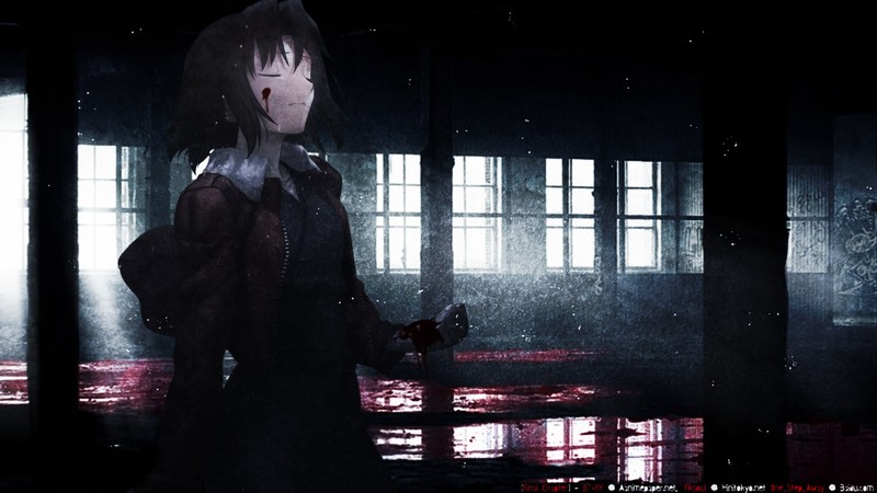 Kara no Kyoukai, anime girls, Ryougi Shiki