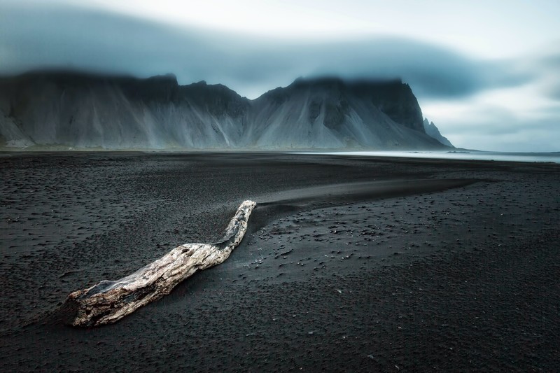 dark, sea, wood, nature, landscape