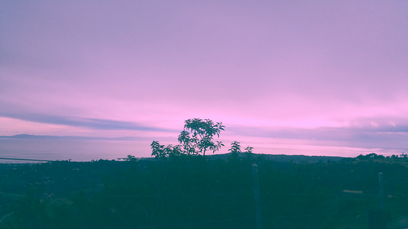 landscape, trees, sky, fence