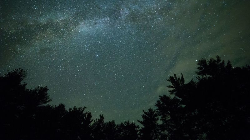 starry sky, night, trees, dark, milky way, 4k