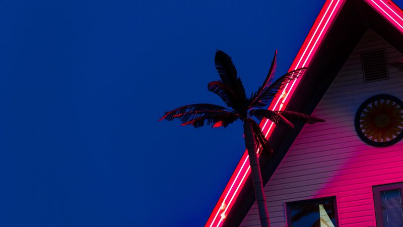 palm, roof, neon, backlight, red, 4k