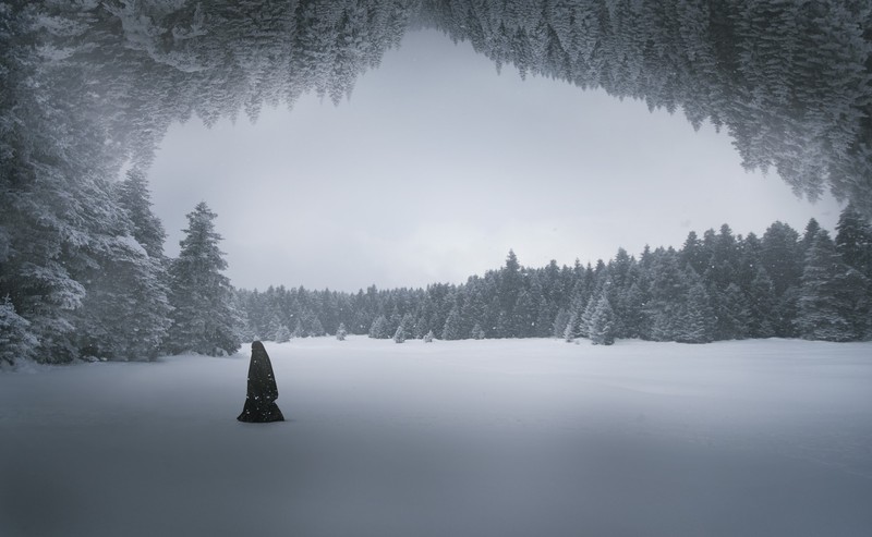 Ozkan Durakoglu, nature, winter, digital art, loneliness, outdoors, trees, 500px, snow, snowing, overcast