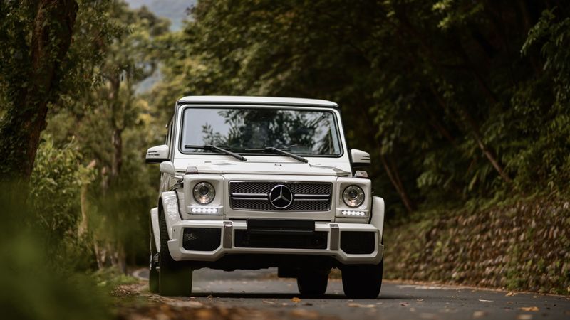 mercedes-benz g-class, mercedes gelandewagen, mercedes, suv, gray, front view, 4k