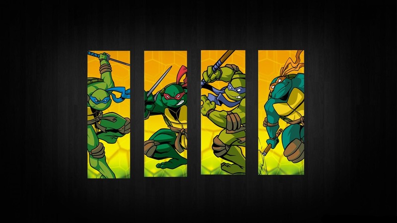 Teenage Mutant Ninja Turtles, cartoon, TV, turtle