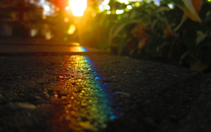 macro, asphalt, road, sunrise, rainbows, bokeh