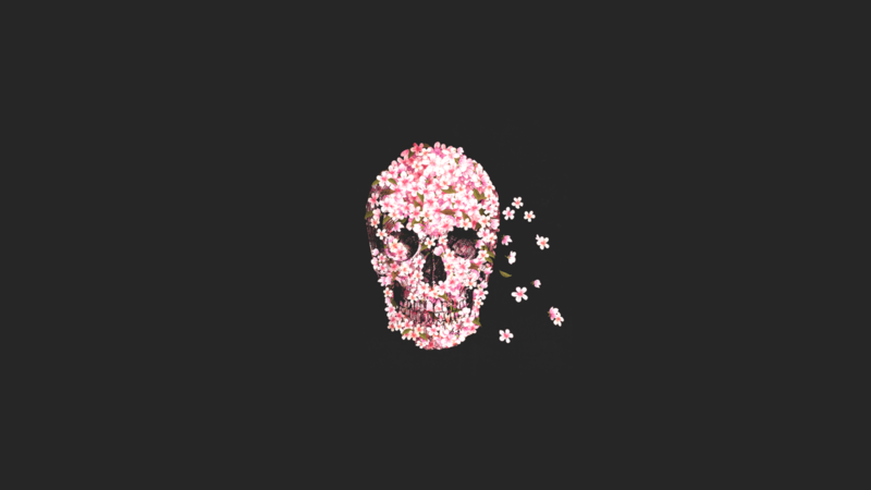 Sugar Skull, skull, rose, drawing