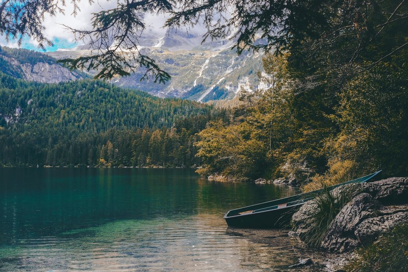 nature, water, trees, boat