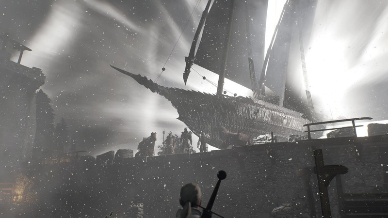 The Witcher 3: Wild Hunt, The Witcher