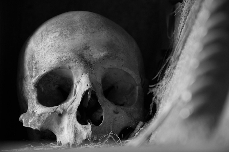 monochrome, skull, 500px, gray