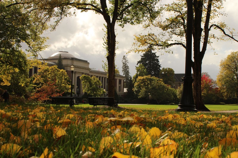 Oregon, old building, building, fall, leaves, grass
