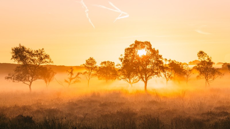 sunlight, gold, orange, 500px, nature