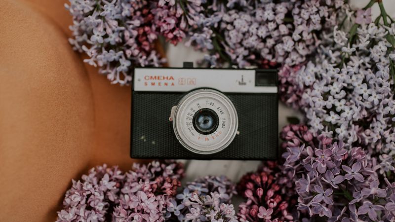 camera, retro, lilac, flowers, hat, 4k