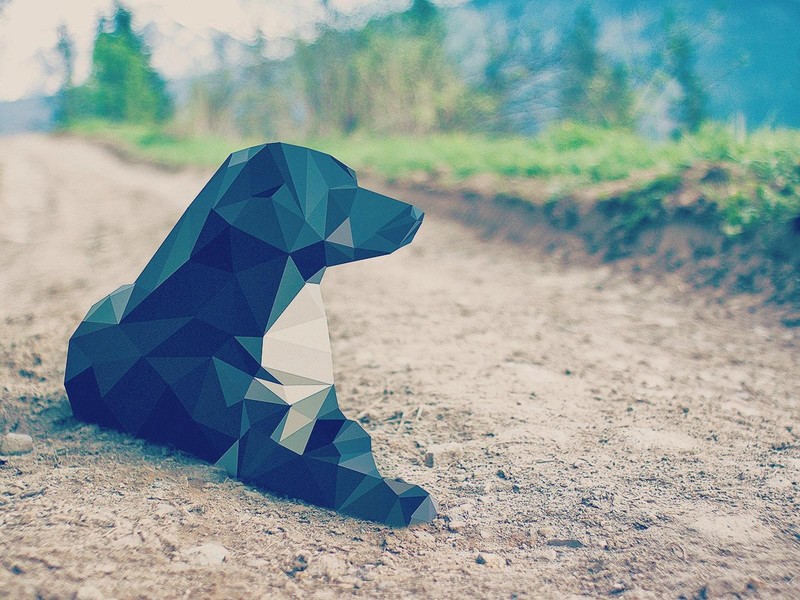 animals, digital art, vector graphics, dog