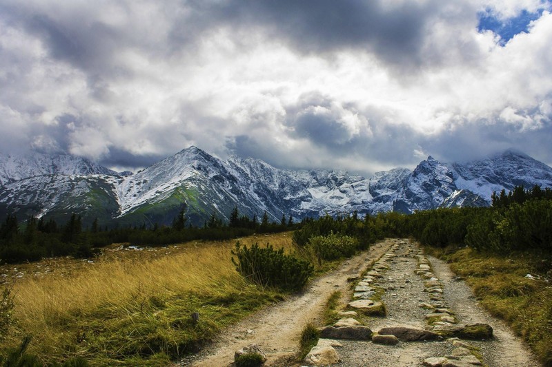 nature, landscape, mountains, Tatra Mountains, Slovakia, snowy peak, dirt road, plants, trees, clouds, stones, pine trees, forest