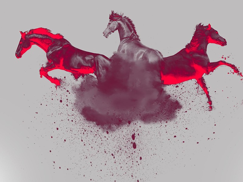 animals, horse, simple background