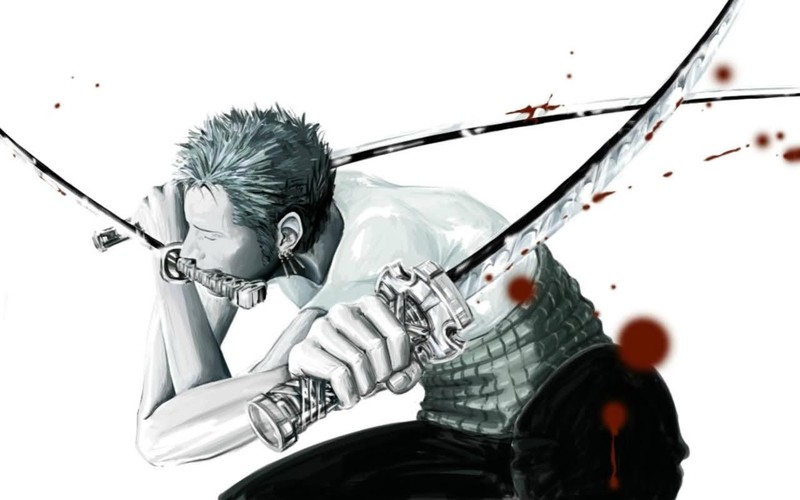 One Piece, Roronoa Zoro, anime
