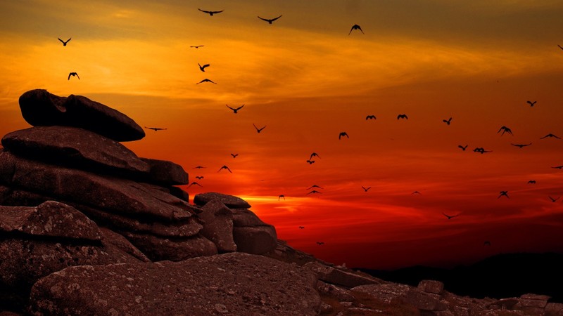 nature, animals, birds, landscape, rock, sunset, stones, hills, clouds