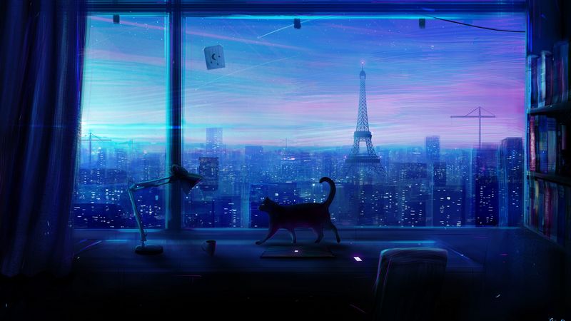 cat, art, window, city, view, 4k