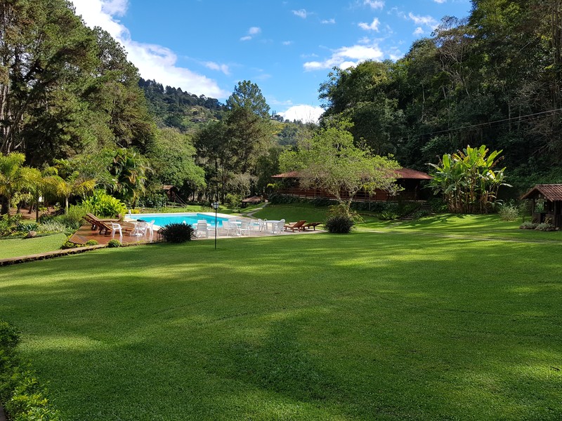 Brazil, grass, trees, plants