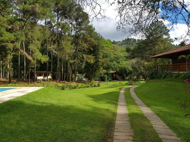 Brazil, grass, swimming pool, trees, forest, hut, flowers