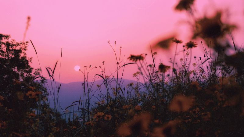 landscape, grass, sun, mountains, sunset, horizon, 4k