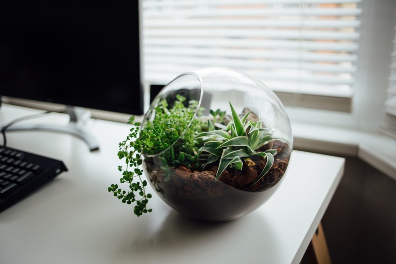 ornamented, table, desk, monitor