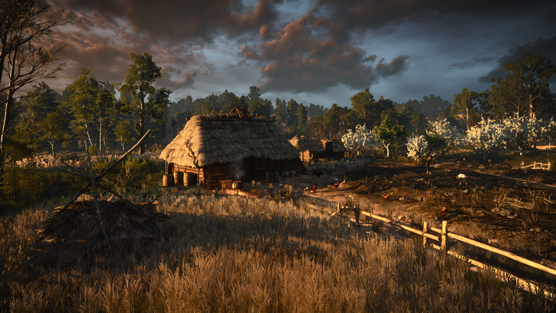 landscape, screen shot, The Witcher 3: Wild Hunt, video games