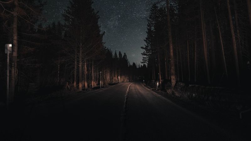 road, forest, night, starry sky, turn, 4k