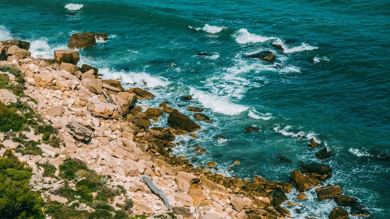 shore, sea, stones, waves, surf, vegetation, 4k
