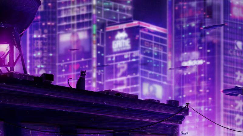 cat, roof, city, future, neon, backlight, 4k
